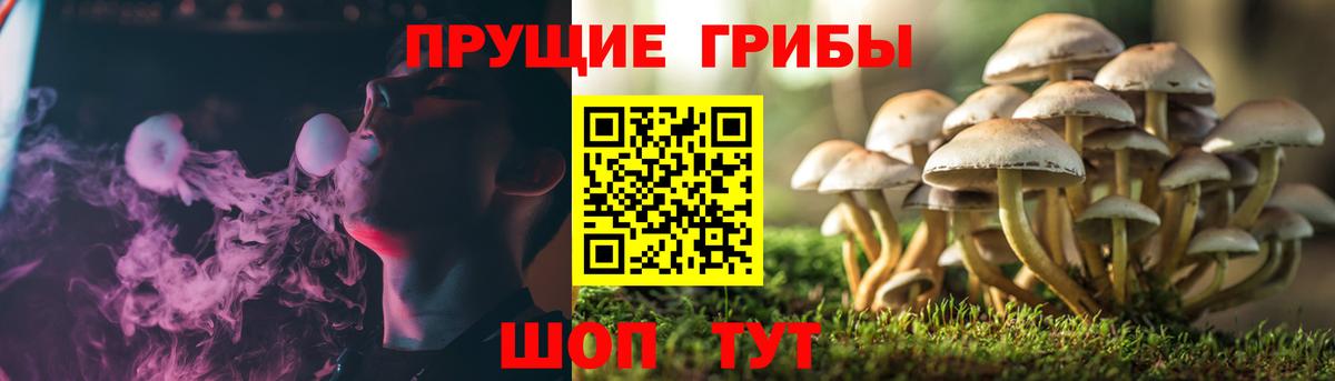Галлюциногенные грибы Magic Shrooms  Вход с VPN  Беслан 